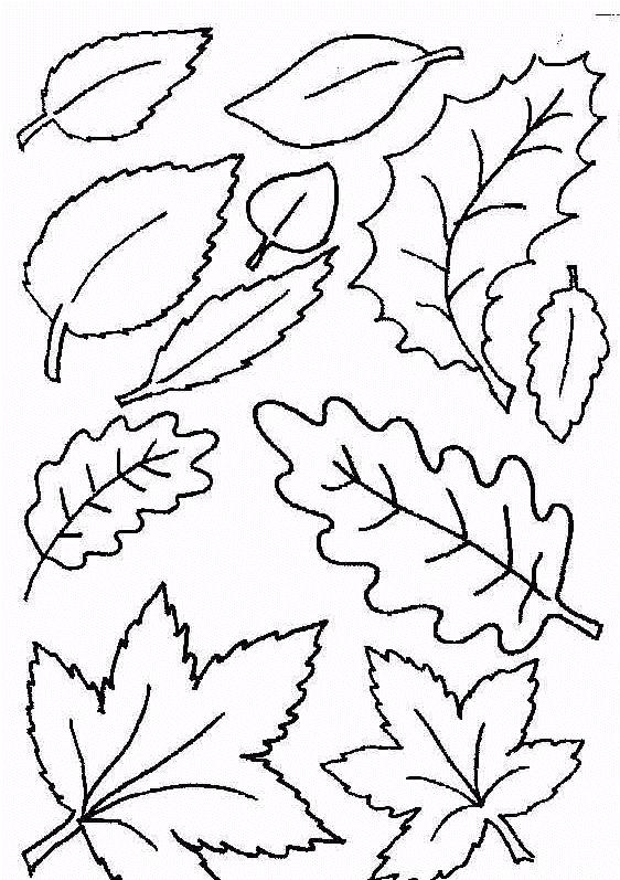 Plansa de colorat cu Toamna 4 115